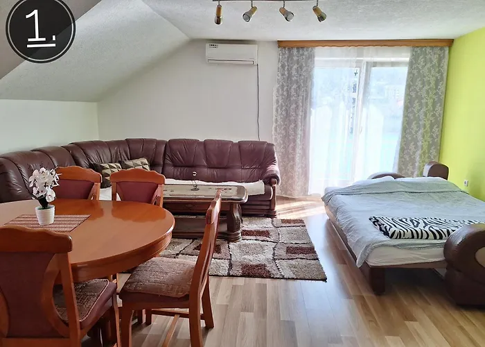 Apartments Sokolovic